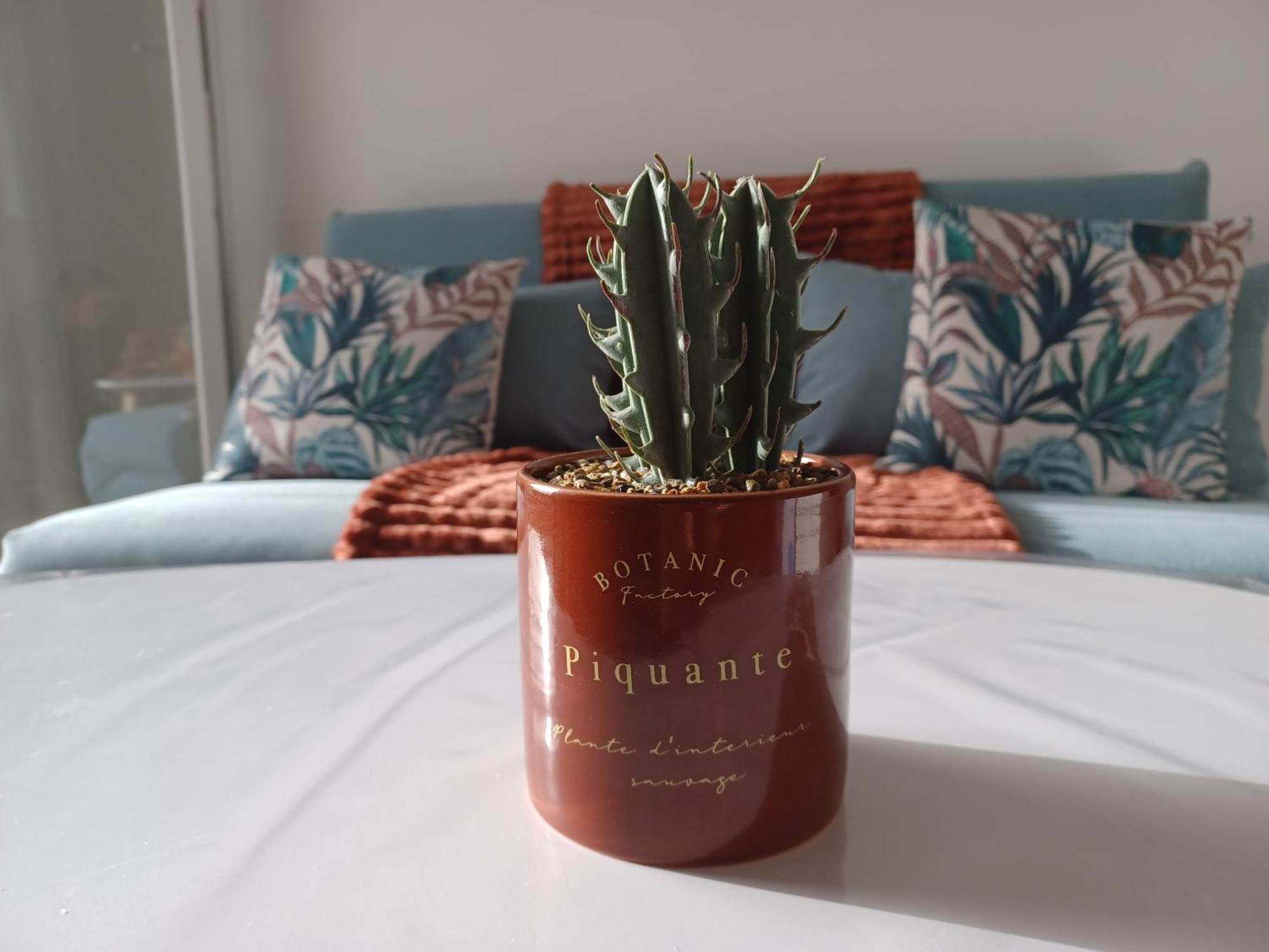 Mare E Monte Ortale Appartement Biguglia (Corsica)